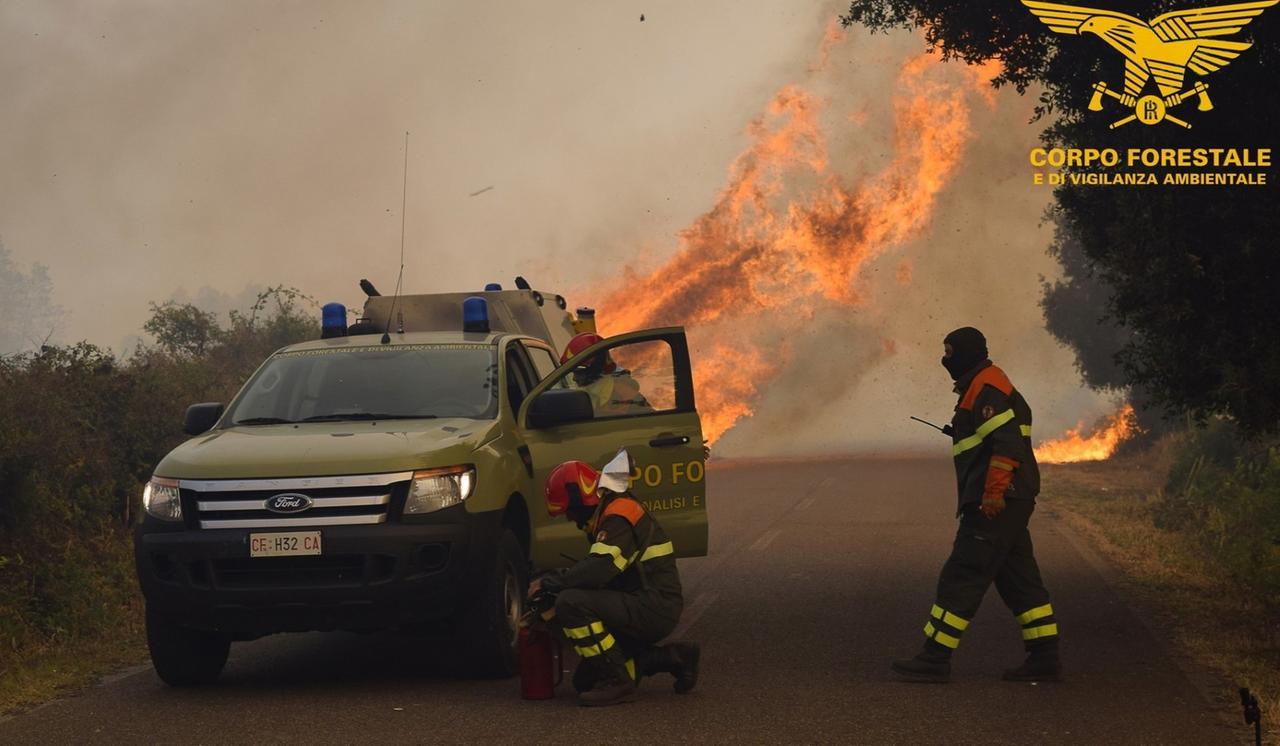 Forestali, mancano 350 agenti: siamo pronti a scioperare