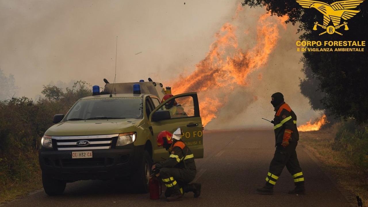 Forestali, mancano 350 agenti: siamo pronti a scioperare