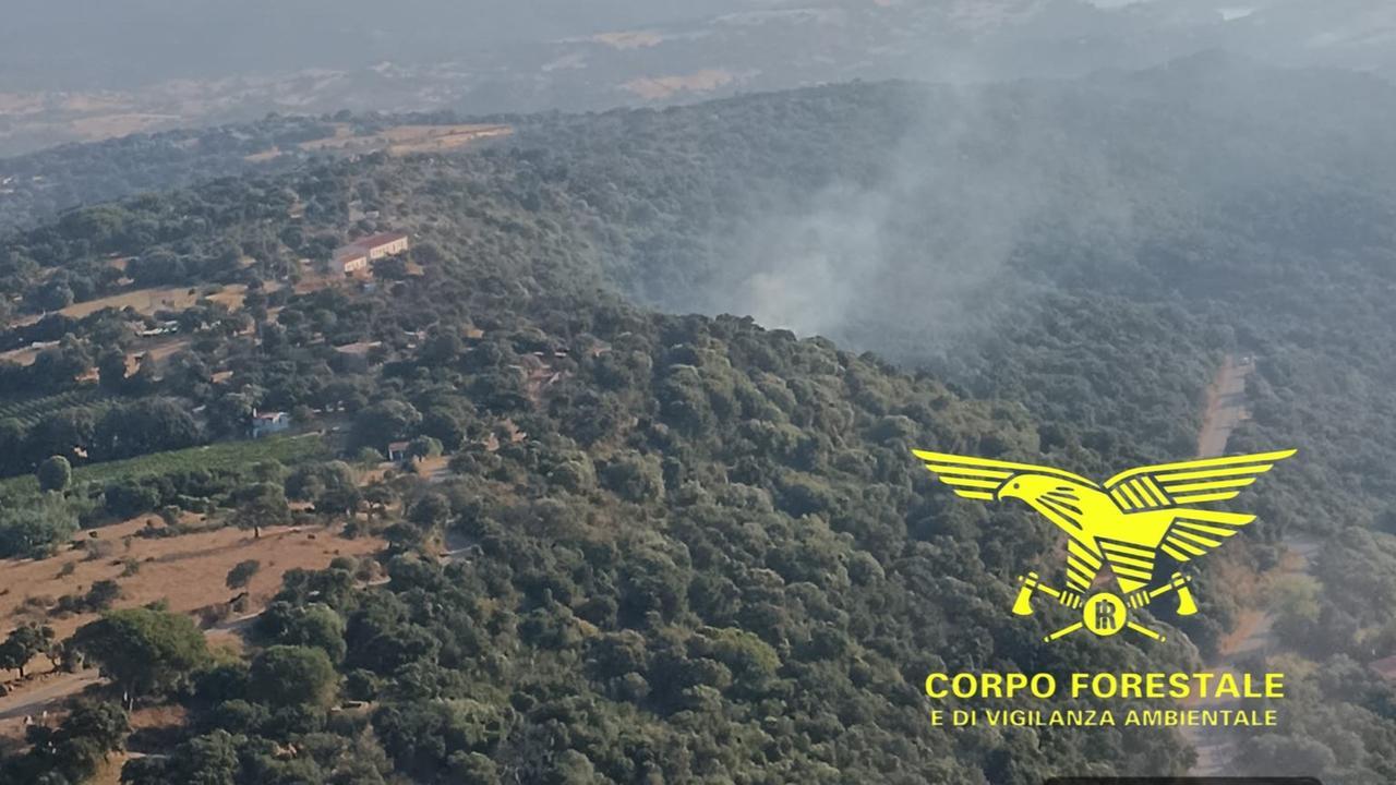 Allarme incendi, le fiamme non danno tregua all’isola: ancora due roghi e mezzi aerei in azione