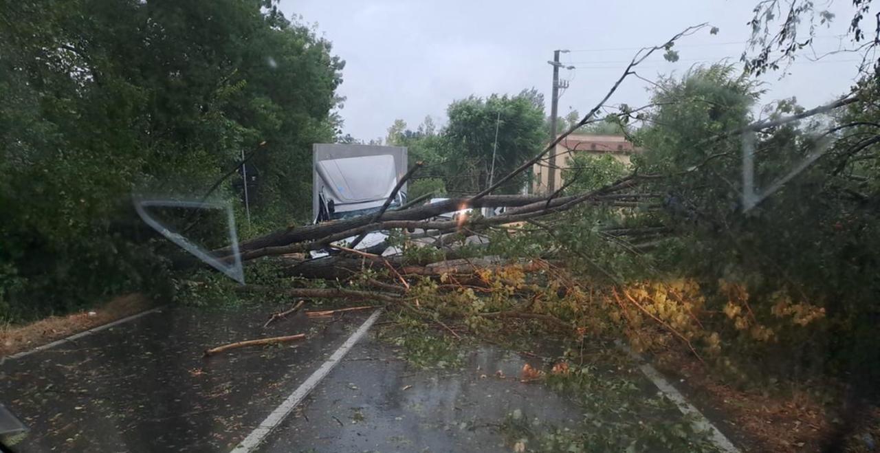 Nubifragio su Reggio Emilia, circa 200 interventi dei vigili del fuoco, tra alberi caduti e allagamenti