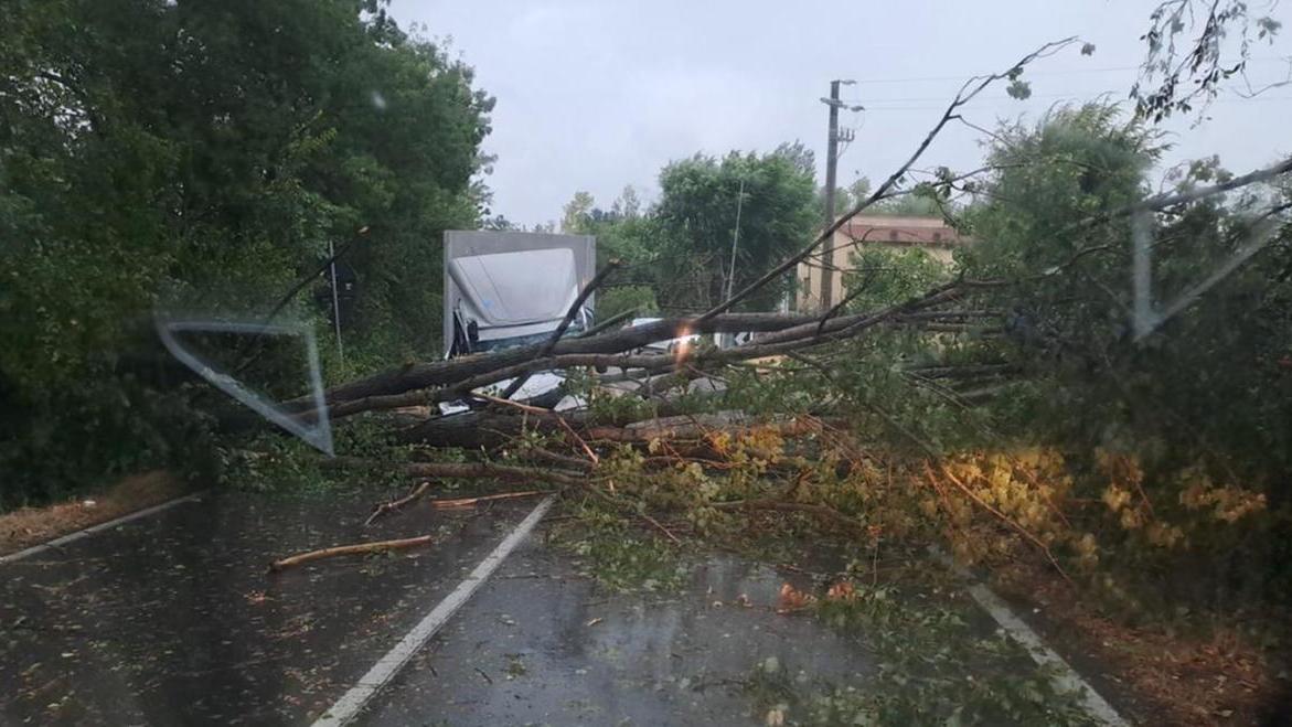 Nubifragio su Reggio Emilia, circa 200 interventi dei vigili del fuoco, tra alberi caduti e allagamenti