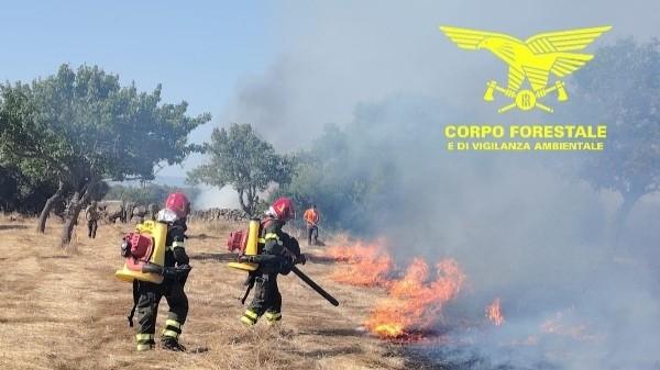 Incendio nelle campagne del nuorese: elicottero in volo