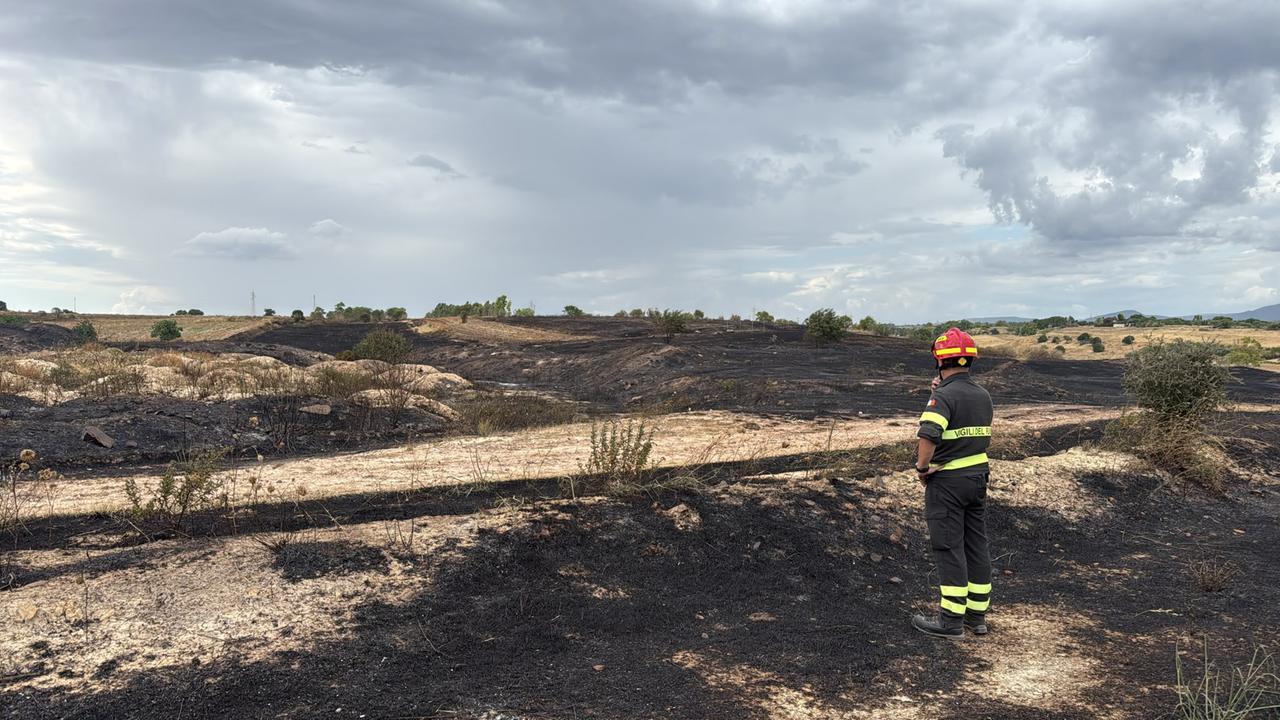 Paura al Policlinico, le fiamme a 50 metri dall’edificio