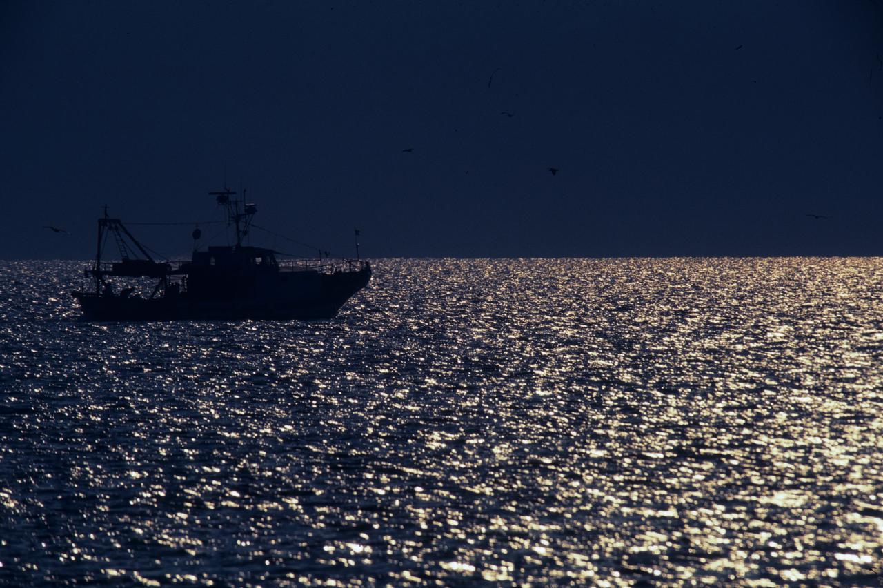 Il mare è sempre più caldo (anche in Toscana): i dati che allarmano e gli effetti sul meteo: «Attenzione al fenomeno “derecho"»