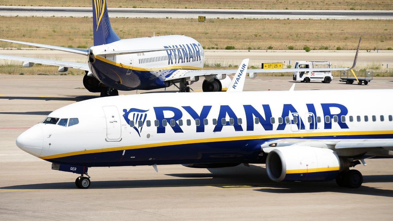 Invasione di zanzare a bordo, l’aereo Ryanair non parte – Che cosa è successo