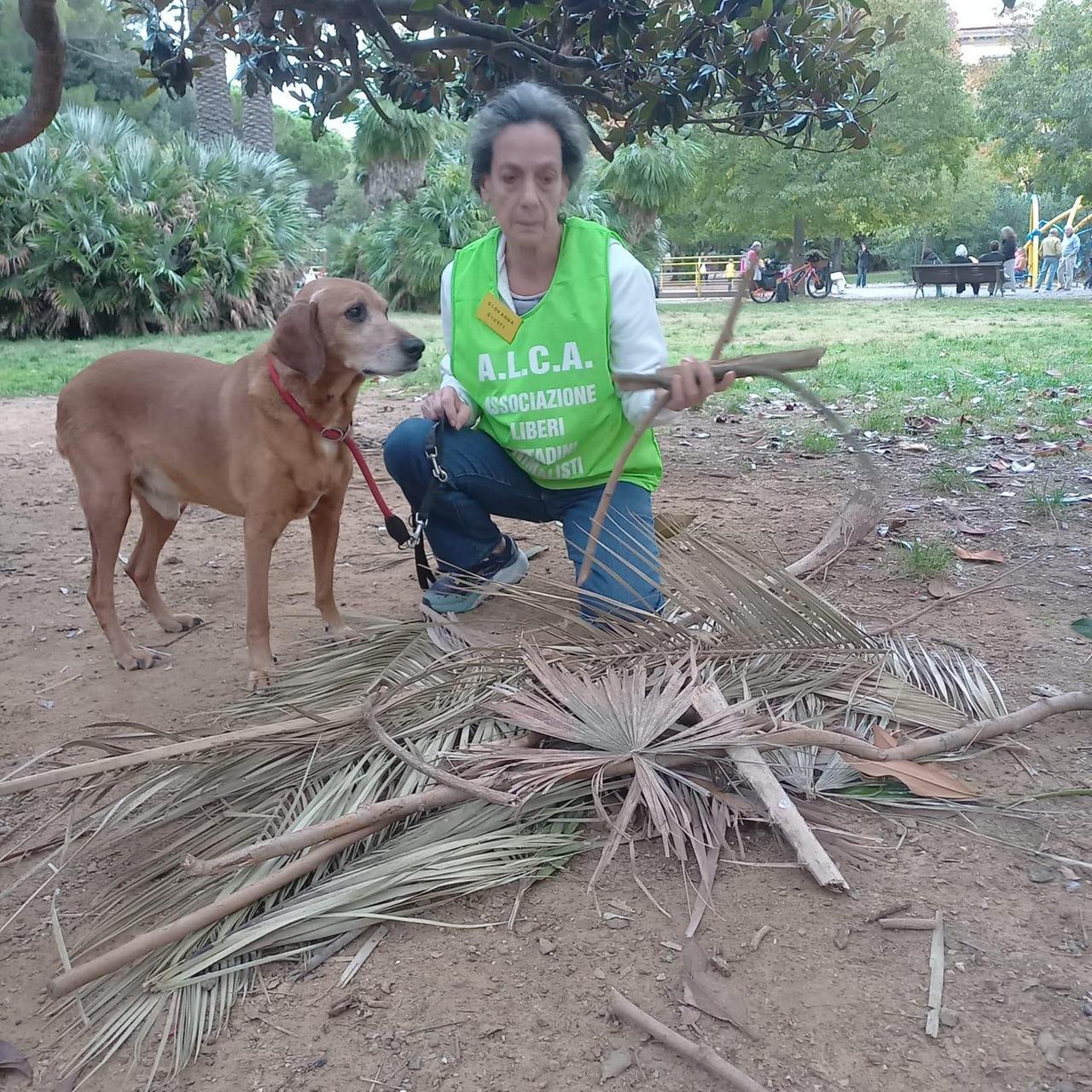 Livorno e gli amici a 4 zampe: alla Rotonda con due cani da adottare