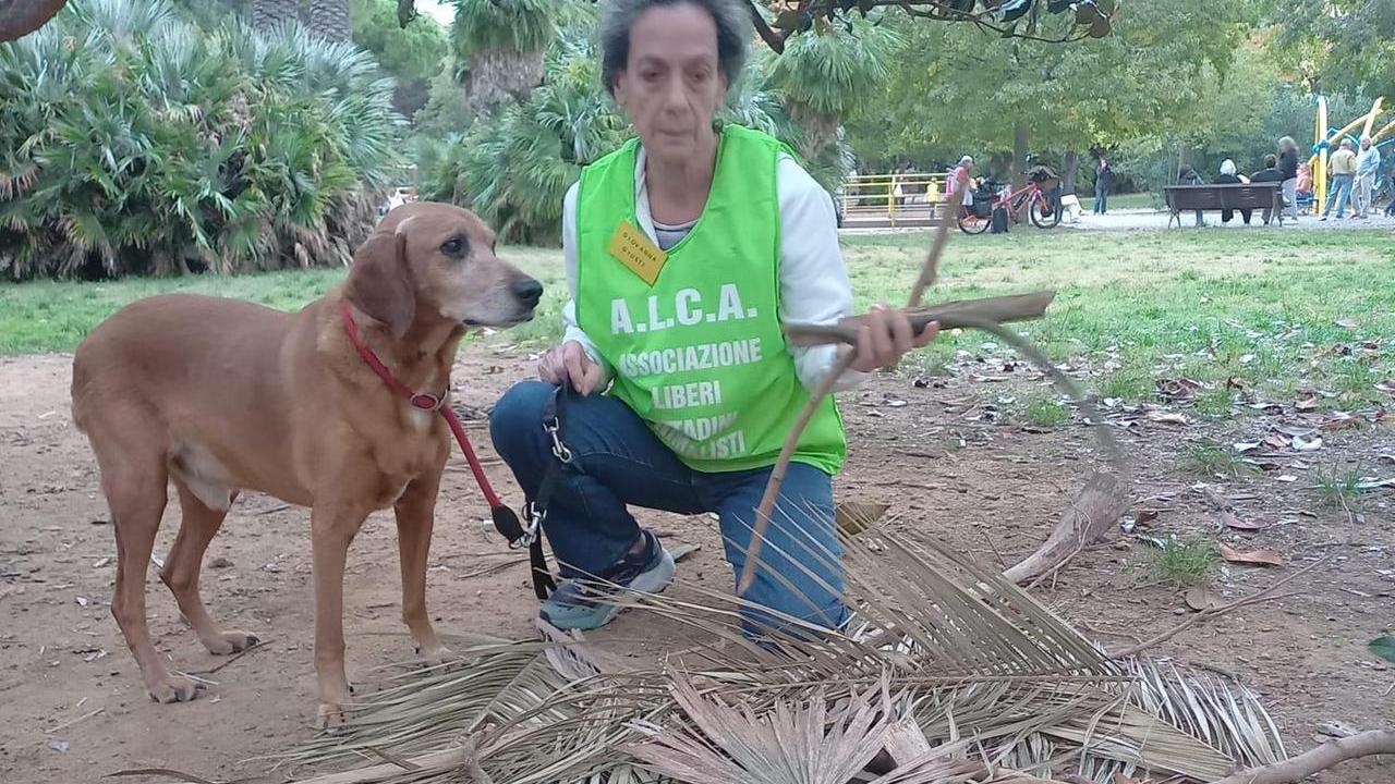 Livorno e gli amici a 4 zampe: alla Rotonda con due cani da adottare