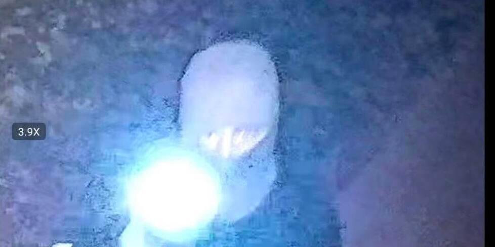 Svegliata nella notte da una torcia puntata in faccia: «Era un ladro»