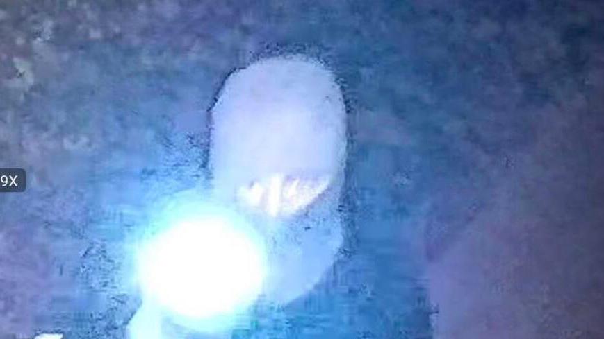 Svegliata nella notte da una torcia puntata in faccia: «Era un ladro»