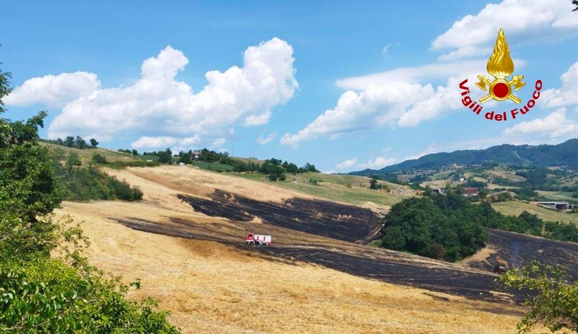 Incendio a Montese, bruciano nove ettari di terreno: minacciati anche due casolari