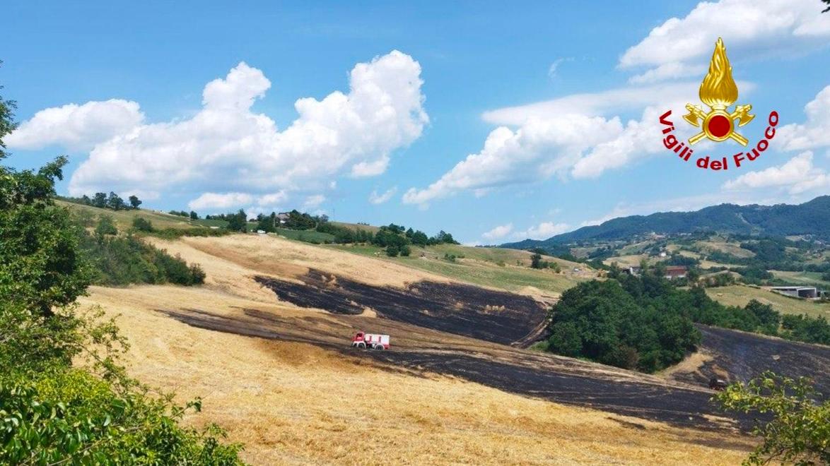 Incendio a Montese, bruciano nove ettari di terreno: minacciati anche due casolari