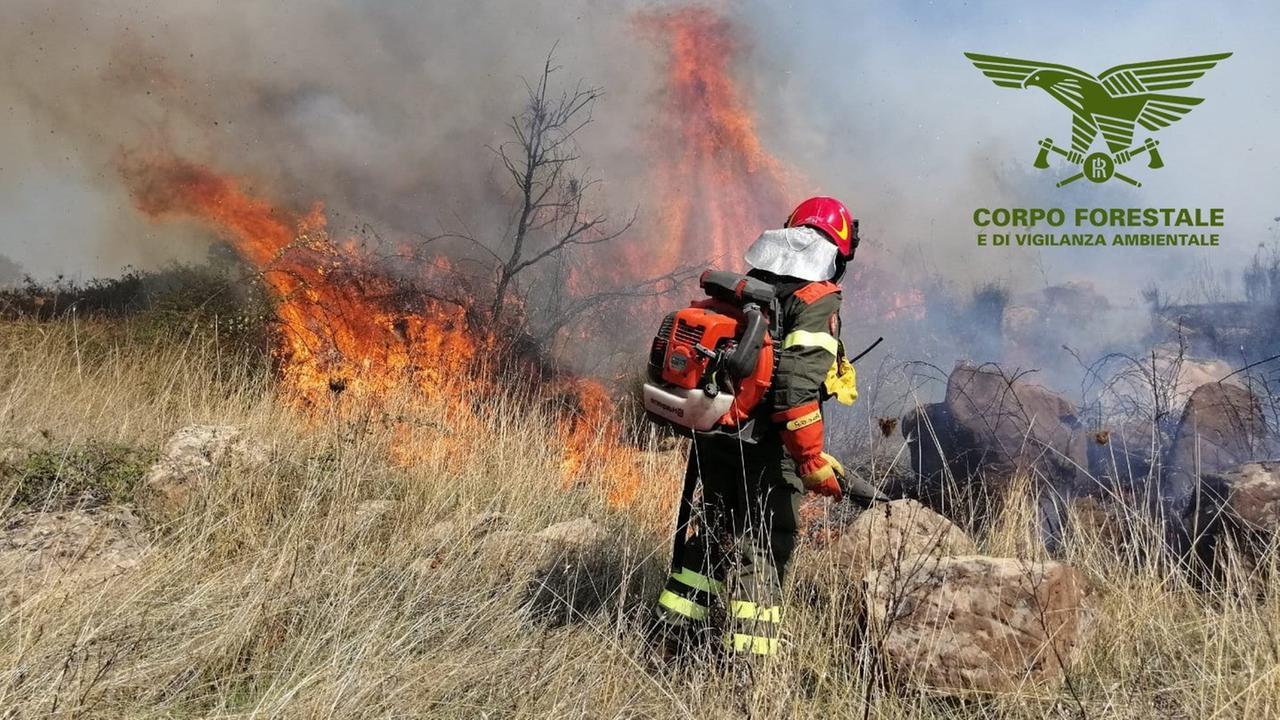 Incendi da nord a sud: in volo due elicotteri