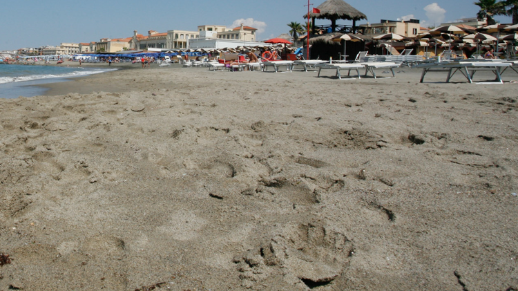 Si tuffa dal pontile e batte la testa, muore un giovane