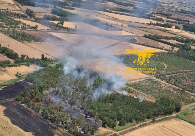 La Sardegna ancora nella morsa degli incendi, fuoco nelle campagne: in azione Corpo forestale ed elicottero