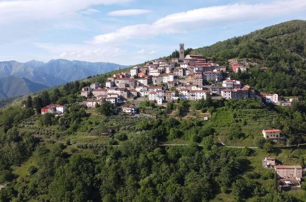 Crasciana, qui il bosco profuma di origano selvatico: alla scoperta di sentieri davvero unici