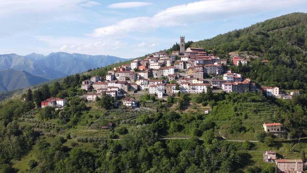 Crasciana, qui il bosco profuma di origano selvatico: alla scoperta di sentieri davvero unici