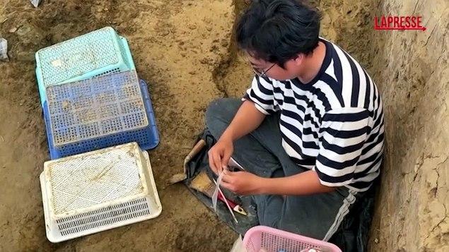 <p>Thailandia: ritrovati due anelli d'oro di 2mila anni fa</p>