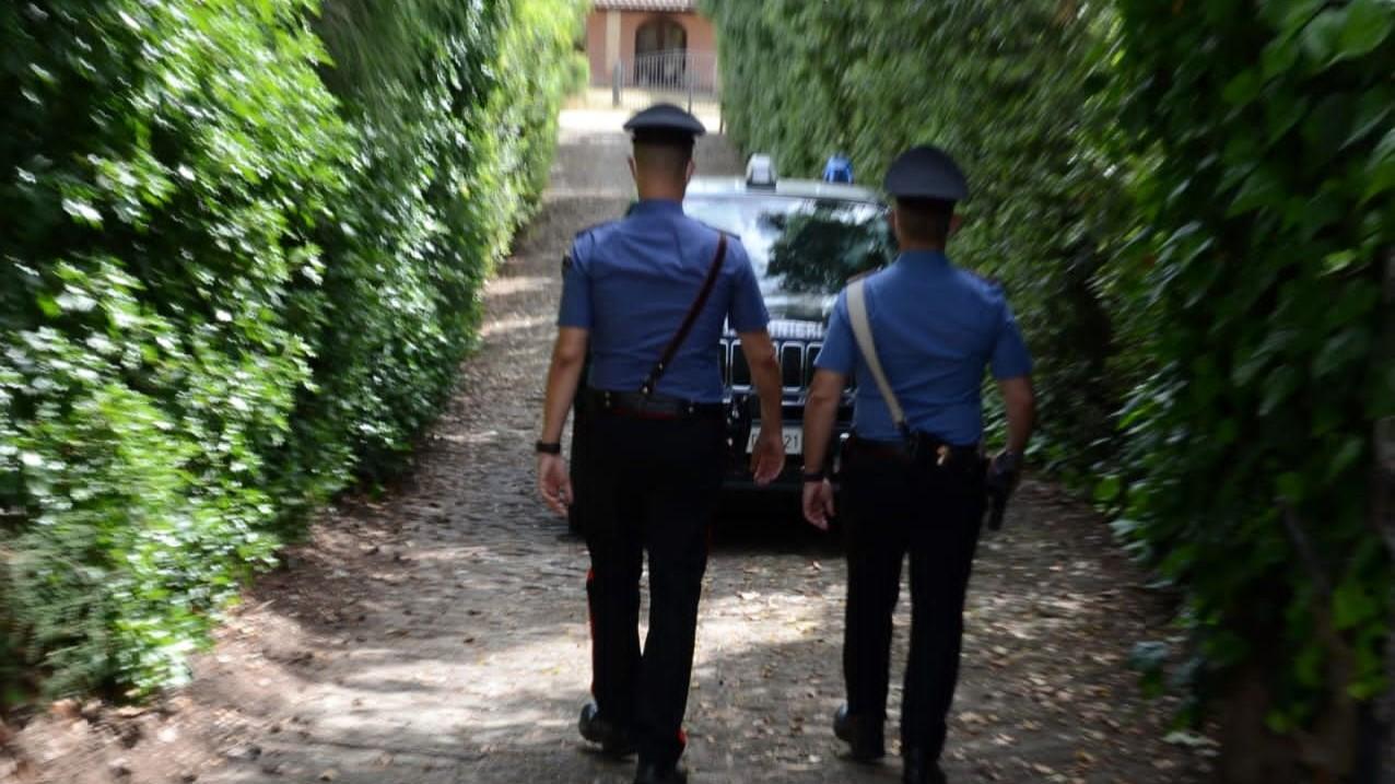 Macellazione clandestina, allevatore nei guai – Che cosa è successo