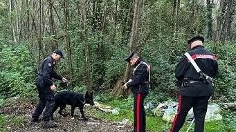 Blitz nel bosco delle Cerbaie: due giovani pusher in manette