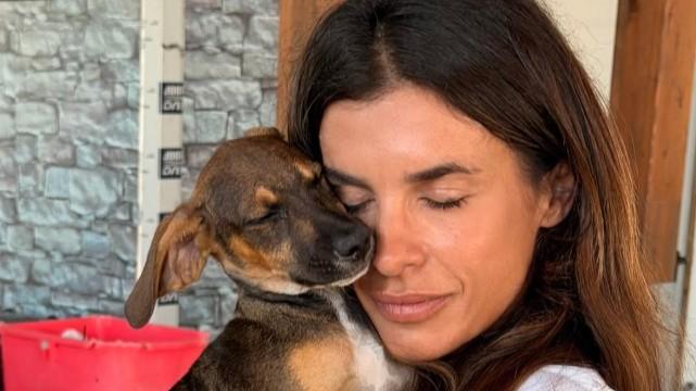 Elisabetta Canalis torna tra i cani e i gatti abbandonati di Olbia: «Un rifugio che amo con tutto il cuore»
