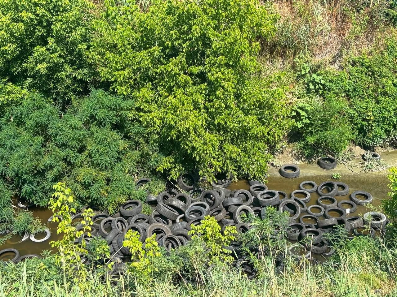Decine di pneumatici abbandonati nel Crostolo, indagano i carabinieri forestali