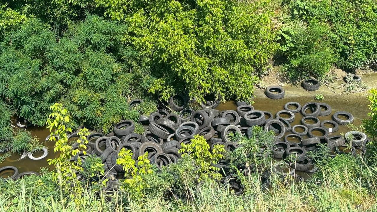 Decine di pneumatici abbandonati nel Crostolo, indagano i carabinieri forestali