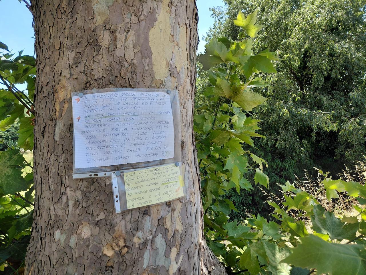 Ferrara, appello alla donna colta da malore: «Vogliamo restituirti la bicicletta»