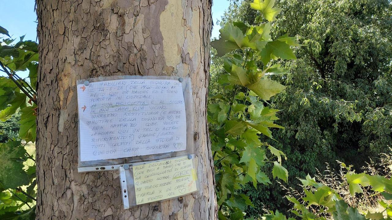 Ferrara, appello alla donna colta da malore: «Vogliamo restituirti la bicicletta»