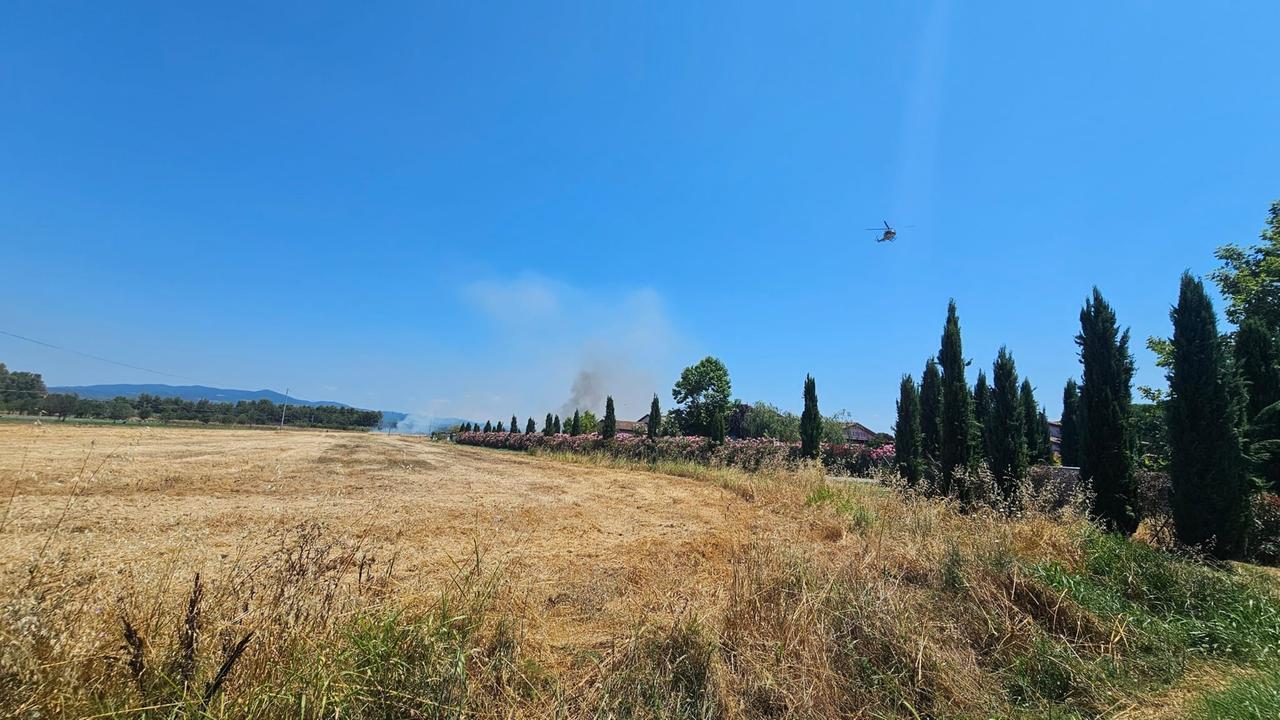 Cecina, fiamme alla Cinquantina. Sospesa la circolazione dei treni