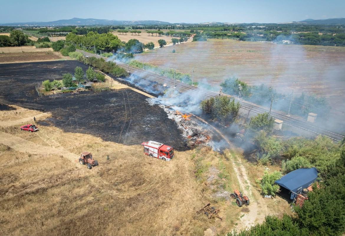 
	L'incendio tra La Cinquantina e Palazzi (Foto Gianfranco Ronconi)

