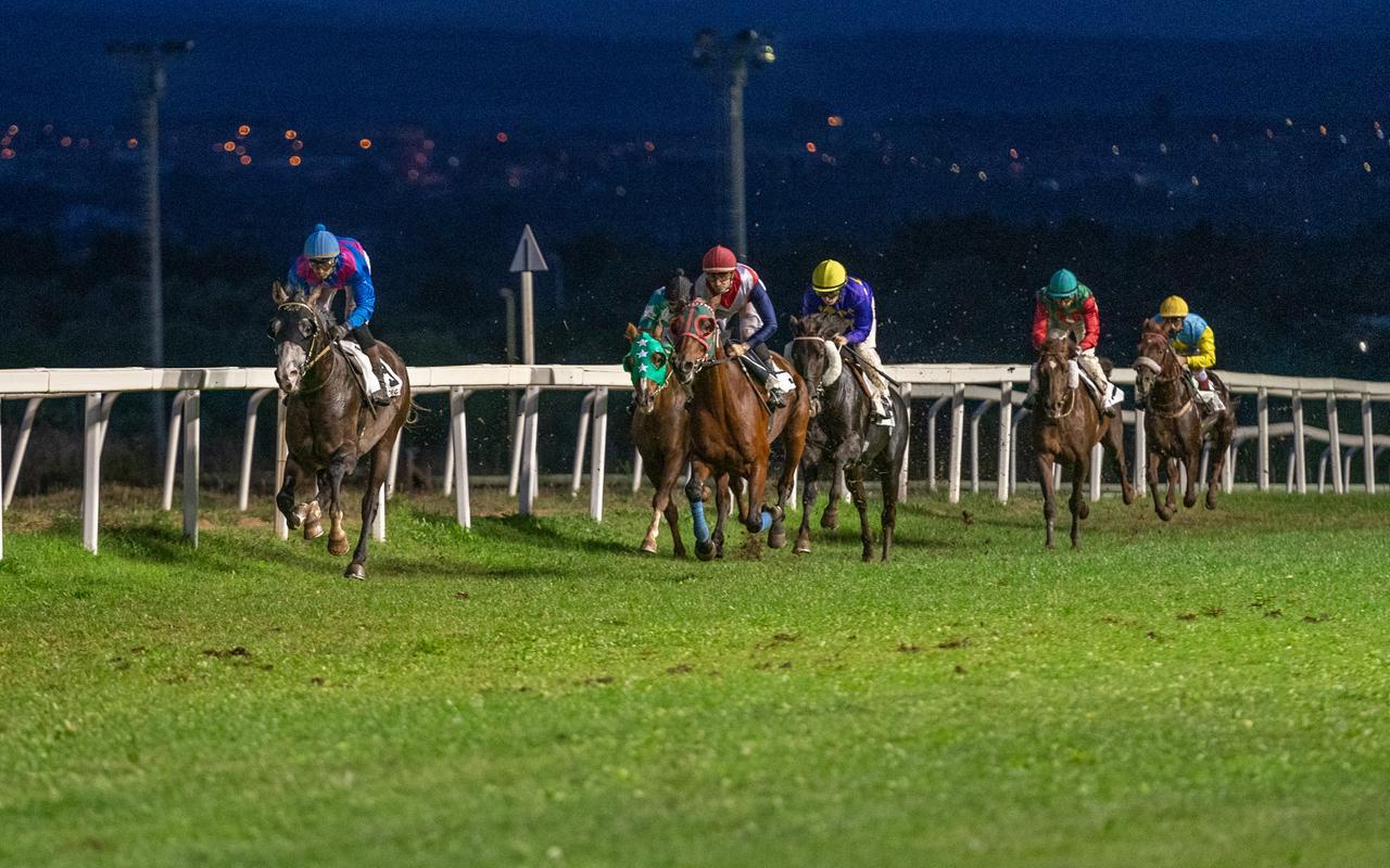 Sassari, sei corse in notturna all’ippodromo Pinna