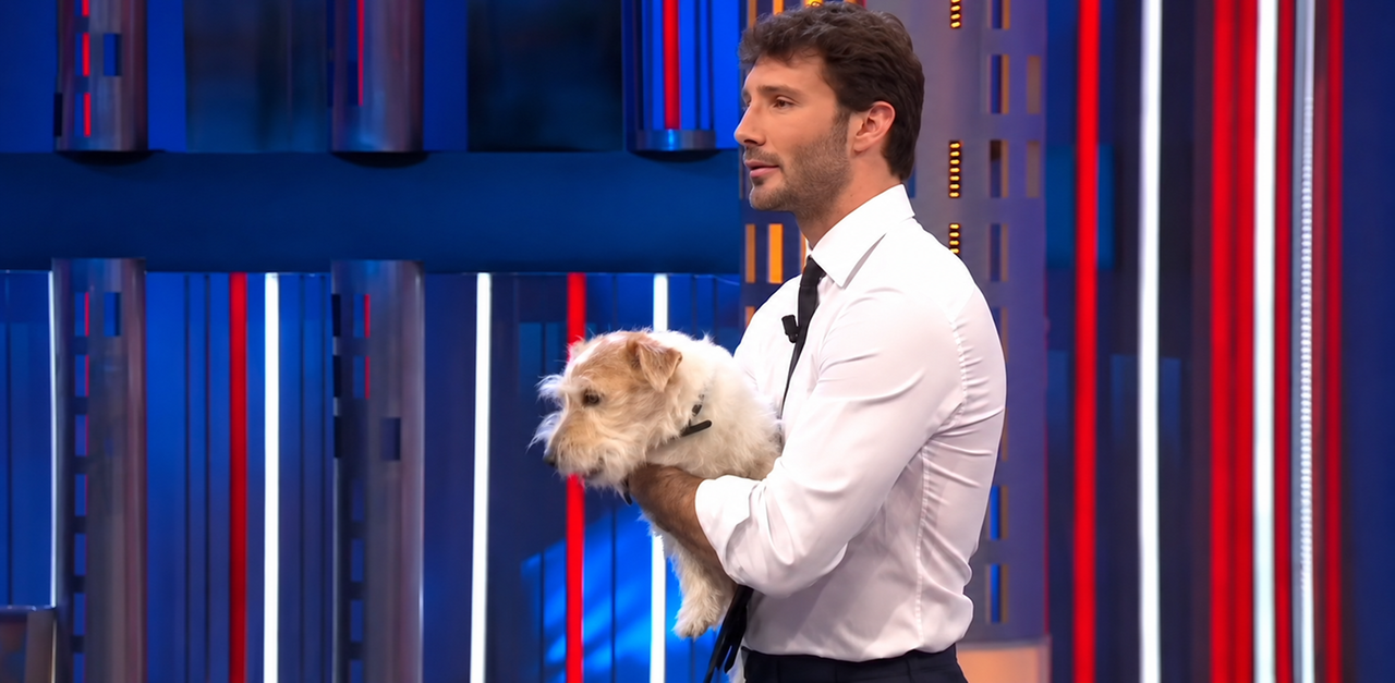 Affari Tuoi, il cane Gennarino va in pensione: non seguirà Stefano De Martino a Milano. L’addestratore: «Il suo benessere prima di tutto»
