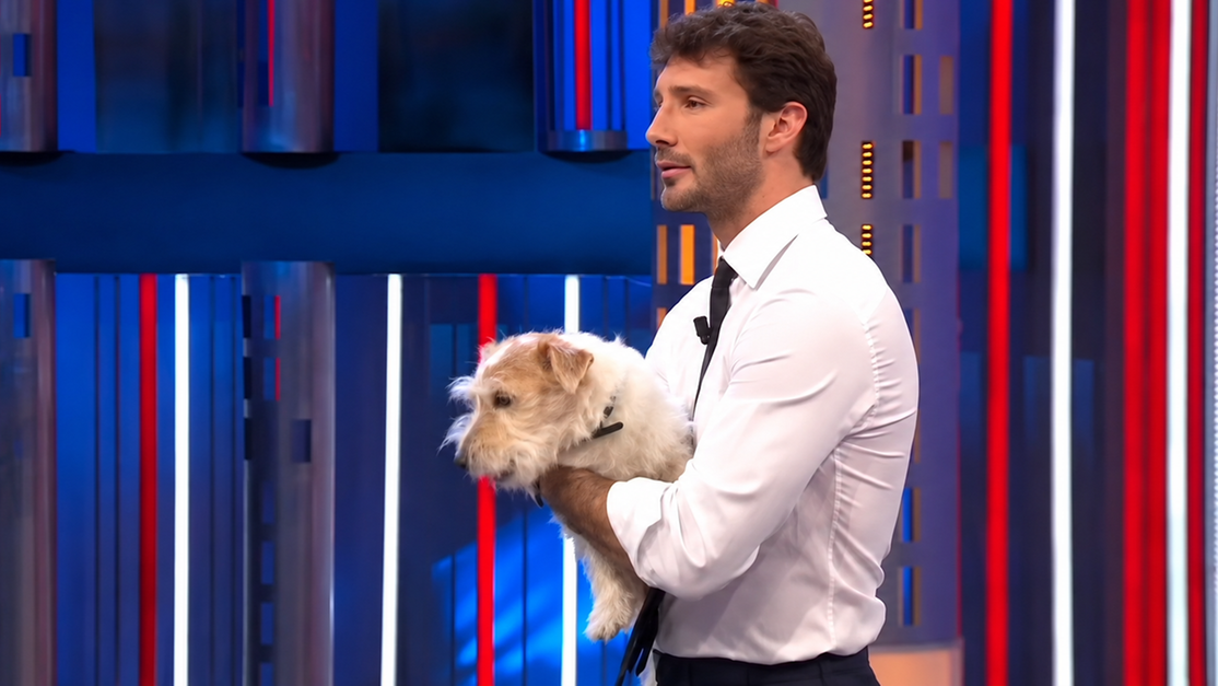 Affari Tuoi, il cane Gennarino va in pensione: non seguirà Stefano De Martino a Milano. L’addestratore: «Il suo benessere prima di tutto»