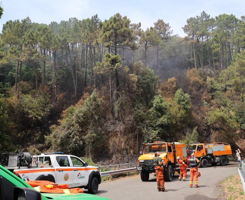 Incendio sul Monte Serra: «Probabile origine colposa» - C'è un'ipotesi