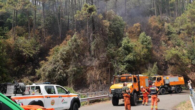 Incendio sul Monte Serra: «Probabile origine colposa» - C'è un'ipotesi
