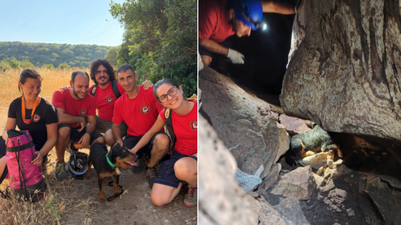 Ore di paura per un cane intrappolato in una grotta, intervengono degli speleologi Gsas di Sassari