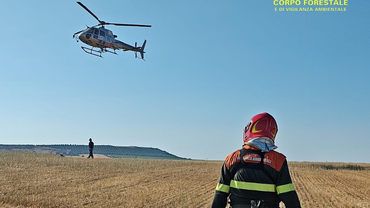 Incendi nelle campagne, sono divampati altri quattro roghi – Diversi i mezzi aerei in azione, anche un canadair