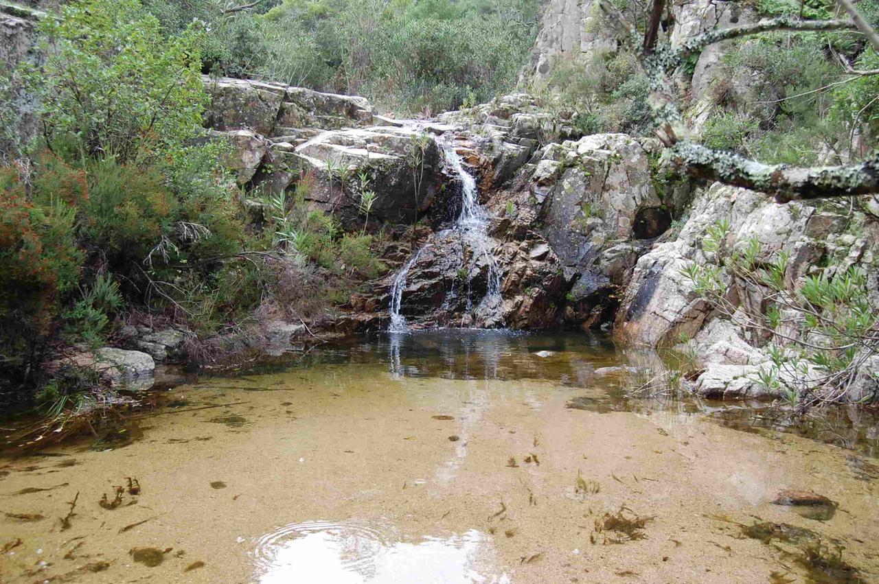 Stop della Regione alla centrale agrivoltaica nel bosco protetto: cosa sta succedendo