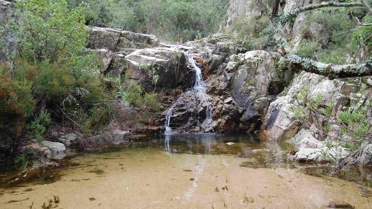 Stop della Regione alla centrale agrivoltaica nel bosco protetto: cosa sta succedendo