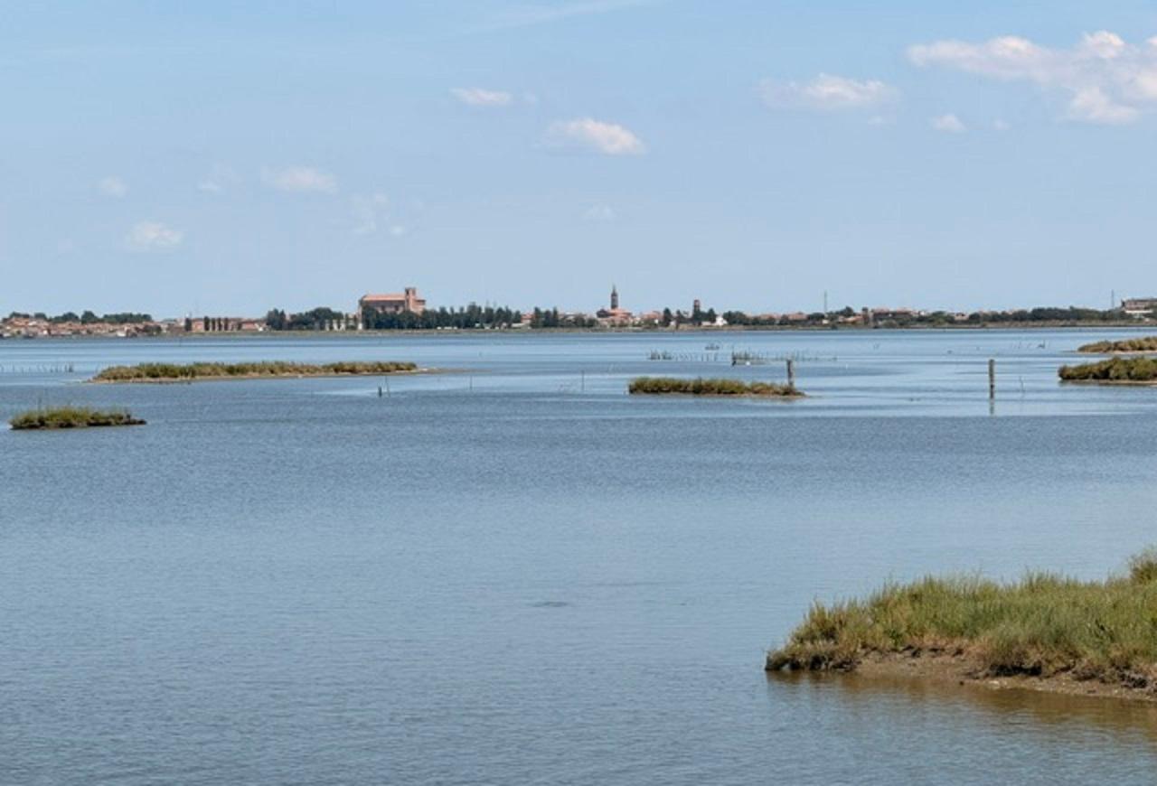 Comacchio, tutela degli ecosistemi acquatici: arriva il bando da 2,5 milioni di euro