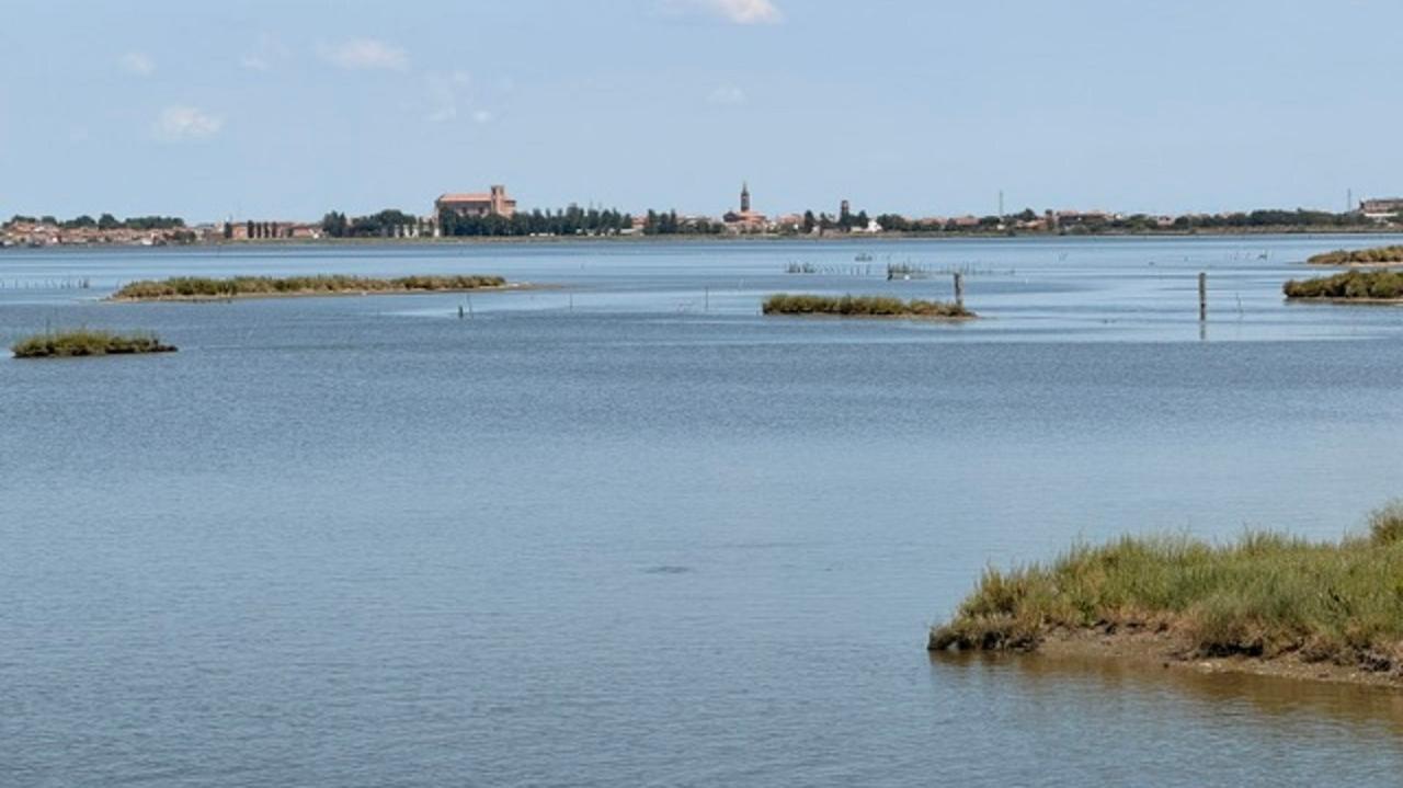 Comacchio, tutela degli ecosistemi acquatici: arriva il bando da 2,5 milioni di euro