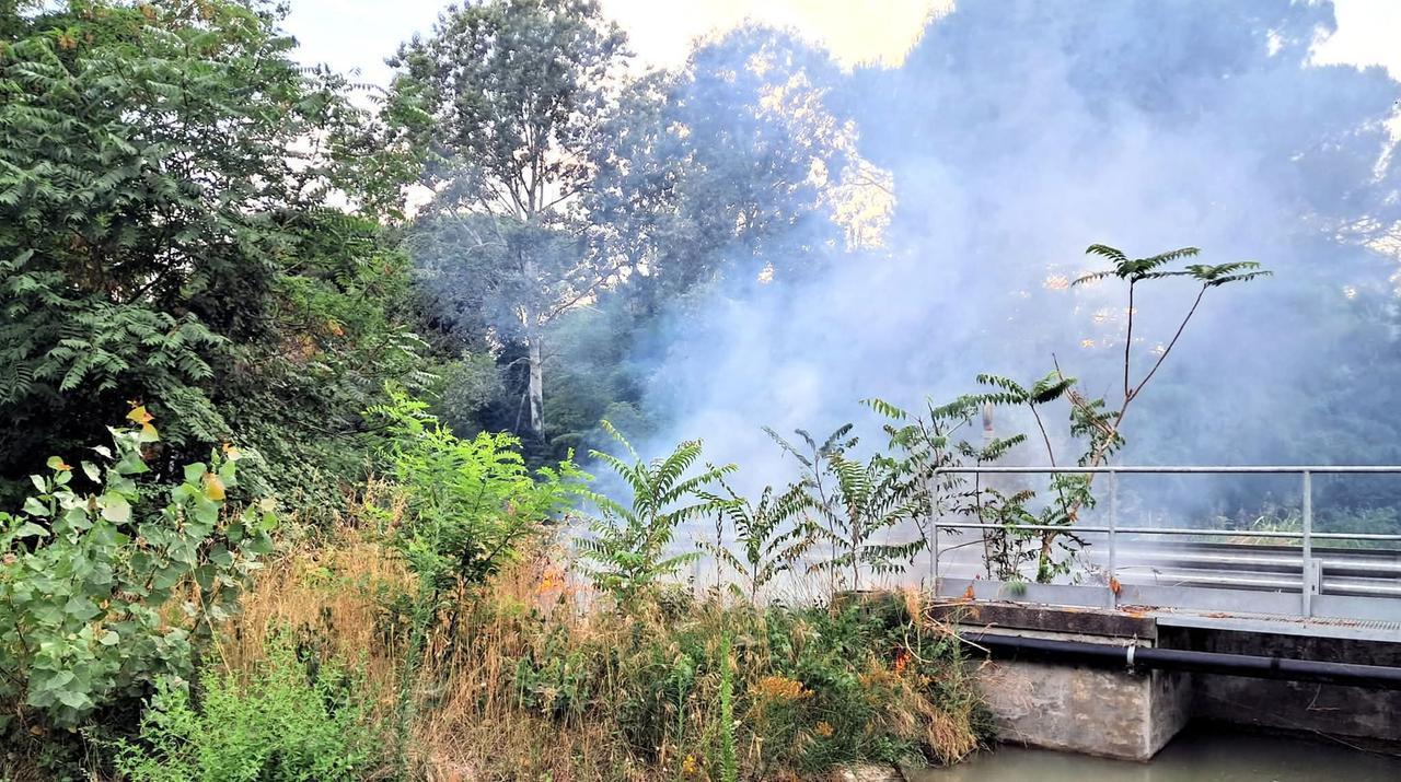 Incendio sulla Romea a Mesola, intervento complesso