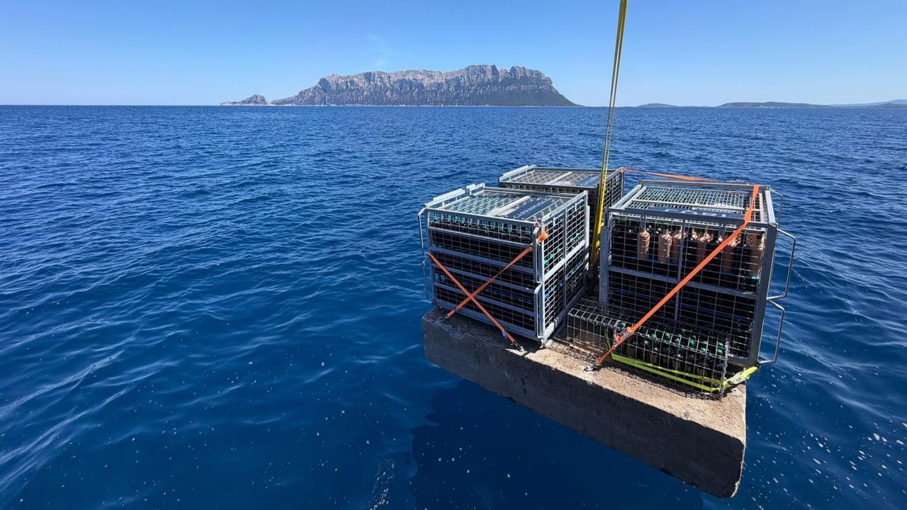 Olbia, il mare di Tavolara diventa una cantina naturale: sul fondale 1600 bottiglie di vino