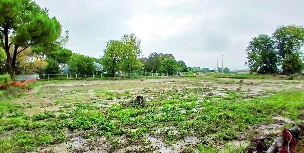 
	Il terreno lungo via Ghisleri dove dovrebbe sorgere la piscina olimpionica di Iolo

