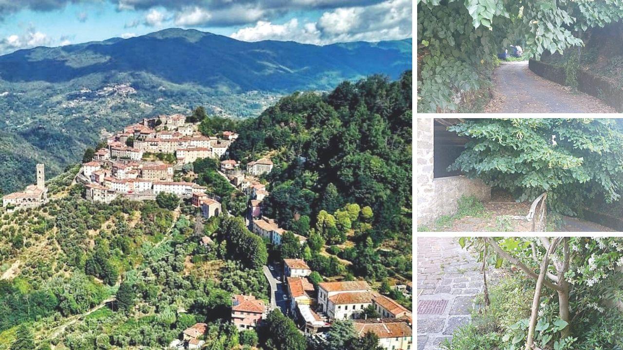 Vellano visto dall’alto e a destra visto dal basso