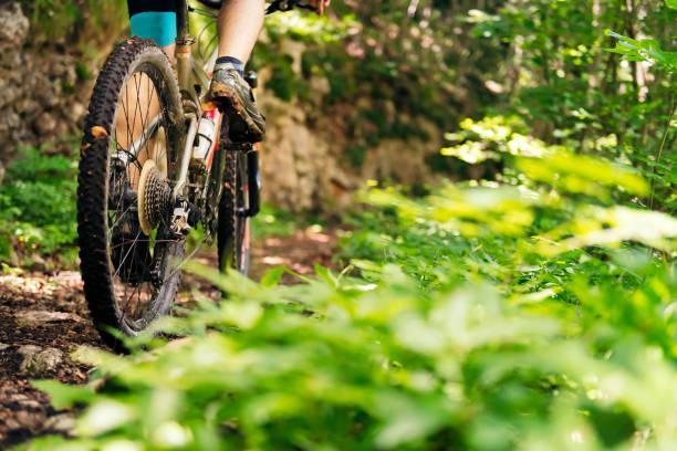 Cento, il sogno del primo bike park vicino all’argine: avviata la raccolta fondi