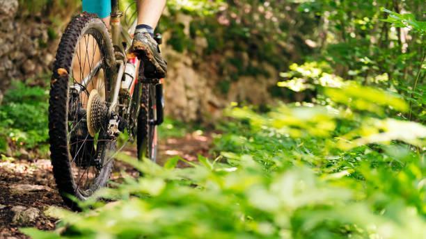 Cento, il sogno del primo bike park vicino all’argine: avviata la raccolta fondi