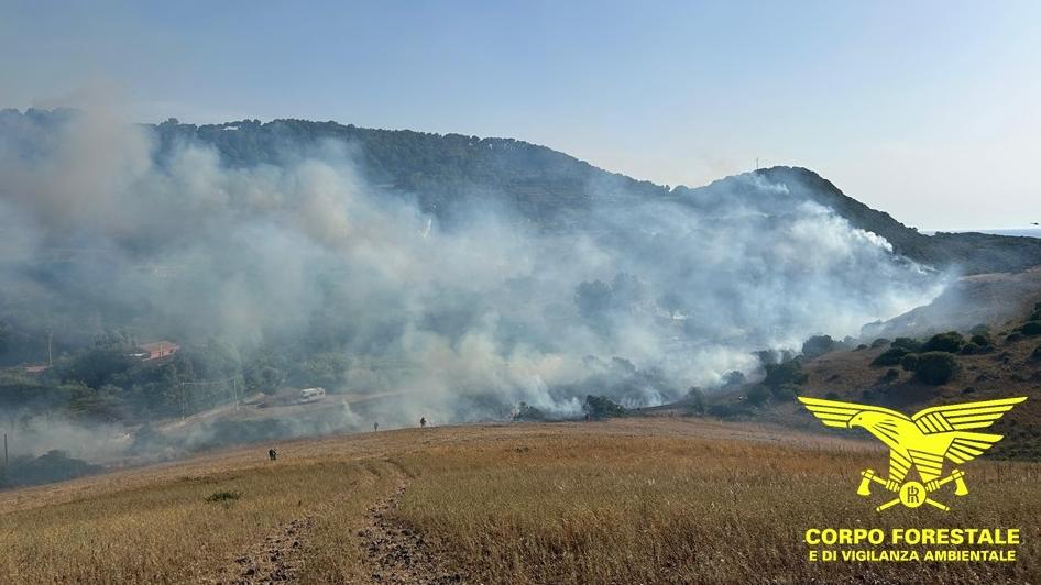 Emergenza incendi, ci sarebbe la mano dell’uomo dietro al grave rogo – Cosa sappiamo