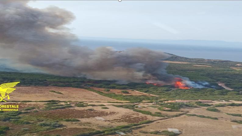 Vasto rogo a nord dell’isola: in azione due canadair e due elicotteri