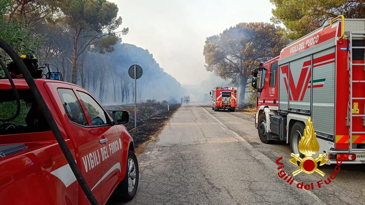 Inferno di fuoco nel nord Sardegna, un grosso incendio minaccia le abitazioni: evacuate due spiagge, in volo elicotteri e Canadair